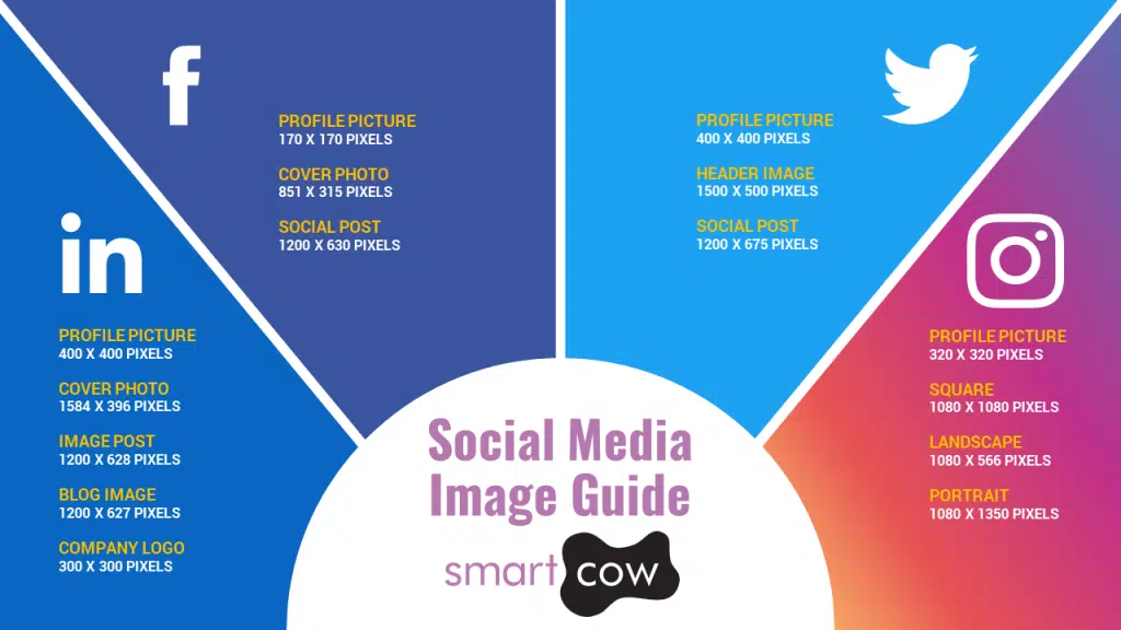 Social Media Image Size Infographic