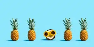 Pineapples - Website Design Essentials 5 Key Tips for an Effective Website