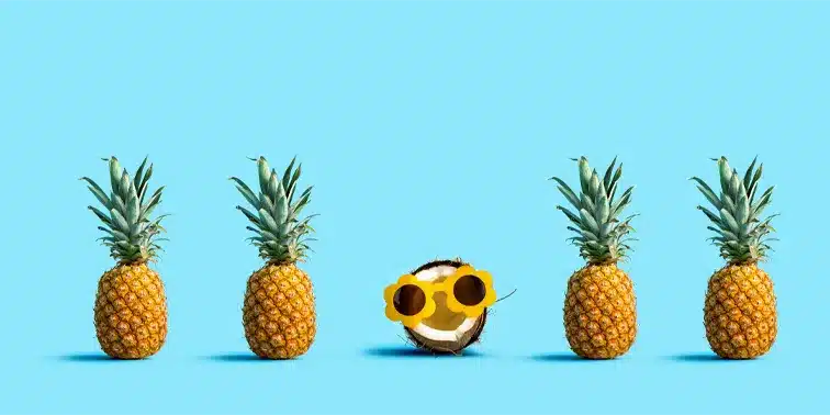 Pineapples - Website Design Essentials 5 Key Tips for an Effective Website